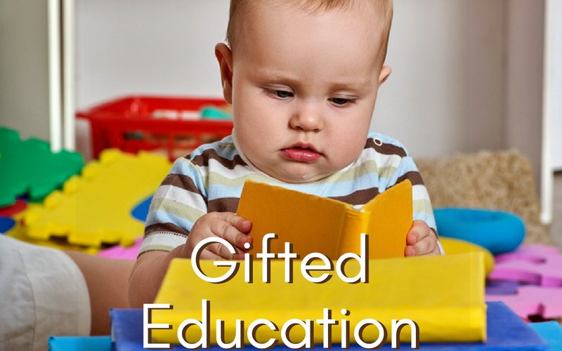 Discovering Gifted Education | Renée at Great Peace #homeschool #gifted #gtcat #ihsnet