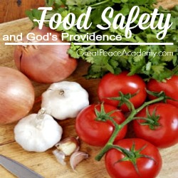 Food Safety and God's Providence Which is Safer, Plastic or Wood? | Great Peace Academy
