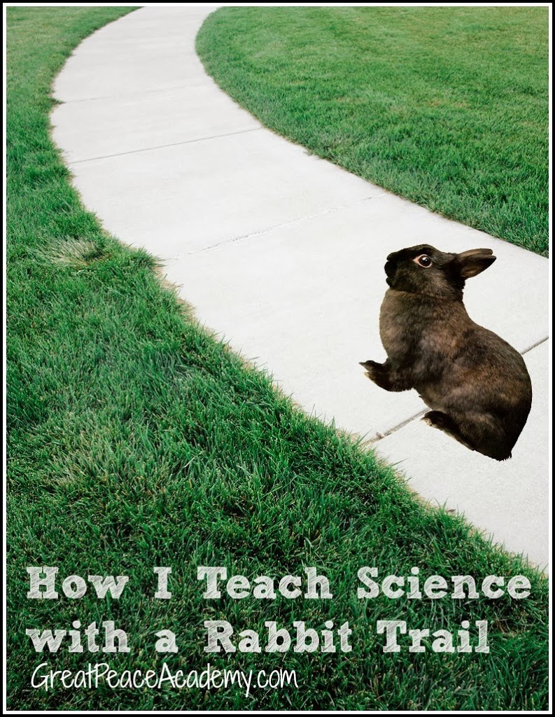 Teaching Science with a Rabbit Trail Great Peace Living