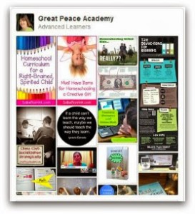 Advanced Learners Pin Board