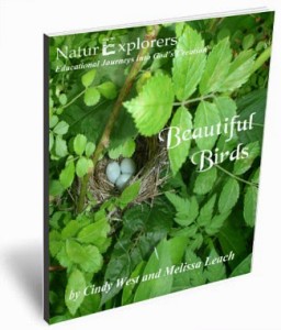 Beautiful Birds Nature Study