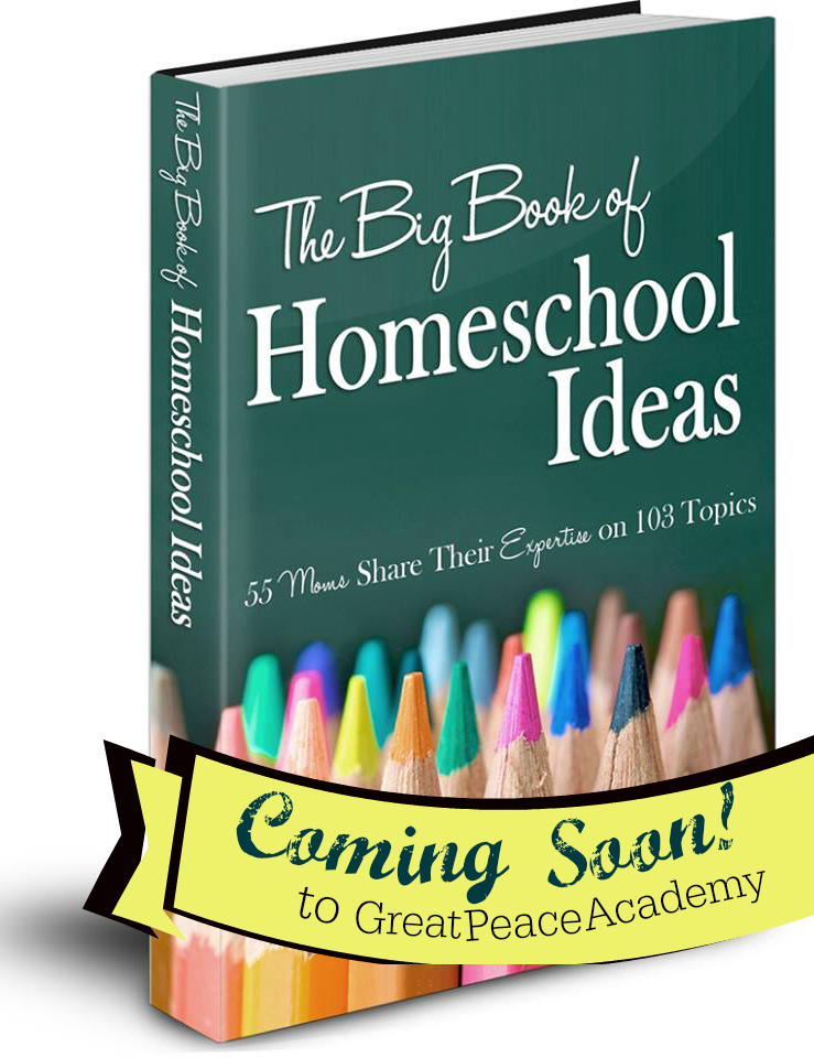 The Big Book of Homeschool Ideas find it at Great Peace Academy