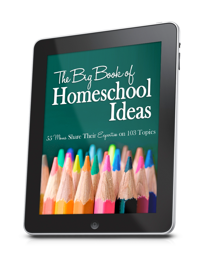 The Big Book of Homeschool Ideas. find it at Great Peace Academy