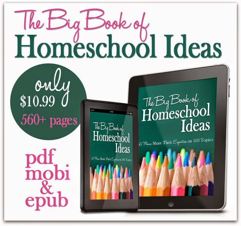 The Big Book of Homeschoo Ideas, find it at Great Peace Academy