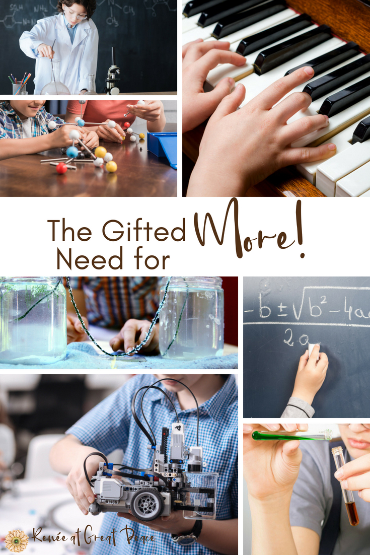 Gifted Homeschooling and the Need for More | Renée at Great Peace #homeschool #gifted #gtchat #ihsnet