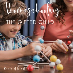 Homeschooling the Gifted Child | Renée at Great Peace #gifted #gtchat #ihsnet #homeschool