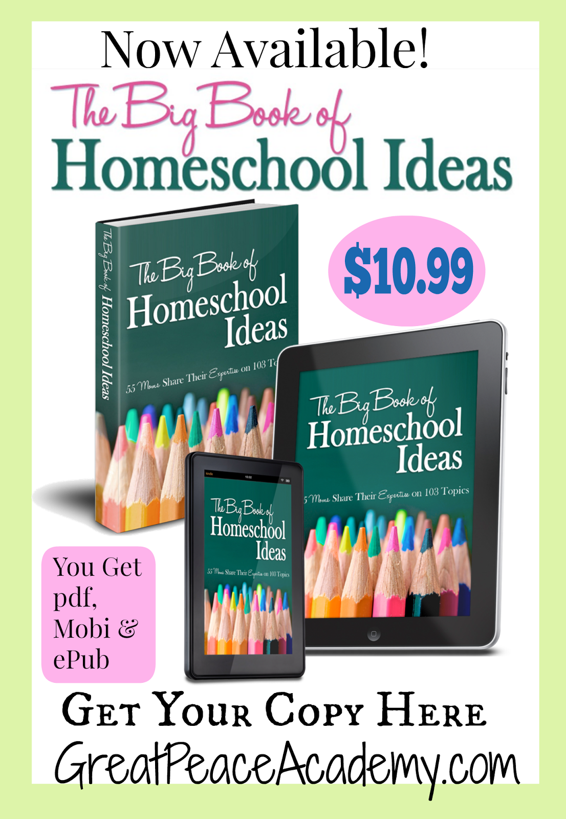 The Big Book of Homeschool Ideas, Over 100 chapters from 55 Top Homeschool Authors, for one low price, $10.99. Get your eBook today from Great Peace Academy