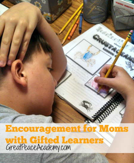 Encouragement for Homeschoolers of Gifted Learners | GreatPeaceAcademy.com #ihsnet