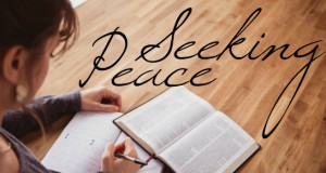 Seeking Peace in Life | GreatPeaceAcademy.com