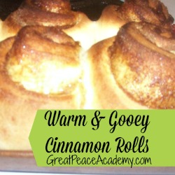 Warm and Gooey Cinnamon Rolls recipe at Great Peace Academy