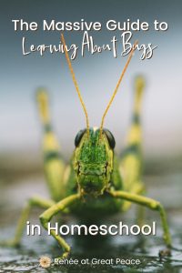 Learning About Bugs in Homeschool | Renee at Great Peace #homeschool #homeschooling #entomology #bugs #science #ihsnet