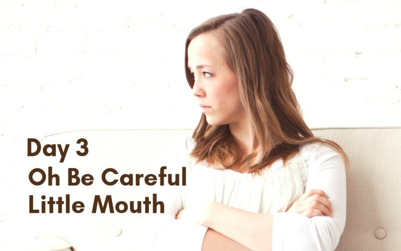Marriage Challenge Day 3 - Oh be careful little mouth | Renée at Great Peace #MarriageChallenge #marriagemoments #marriage @wives
