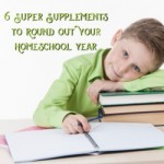#ad 6 Super Supplements to Round Out Your Homeschool | GreatPeaceAcademy