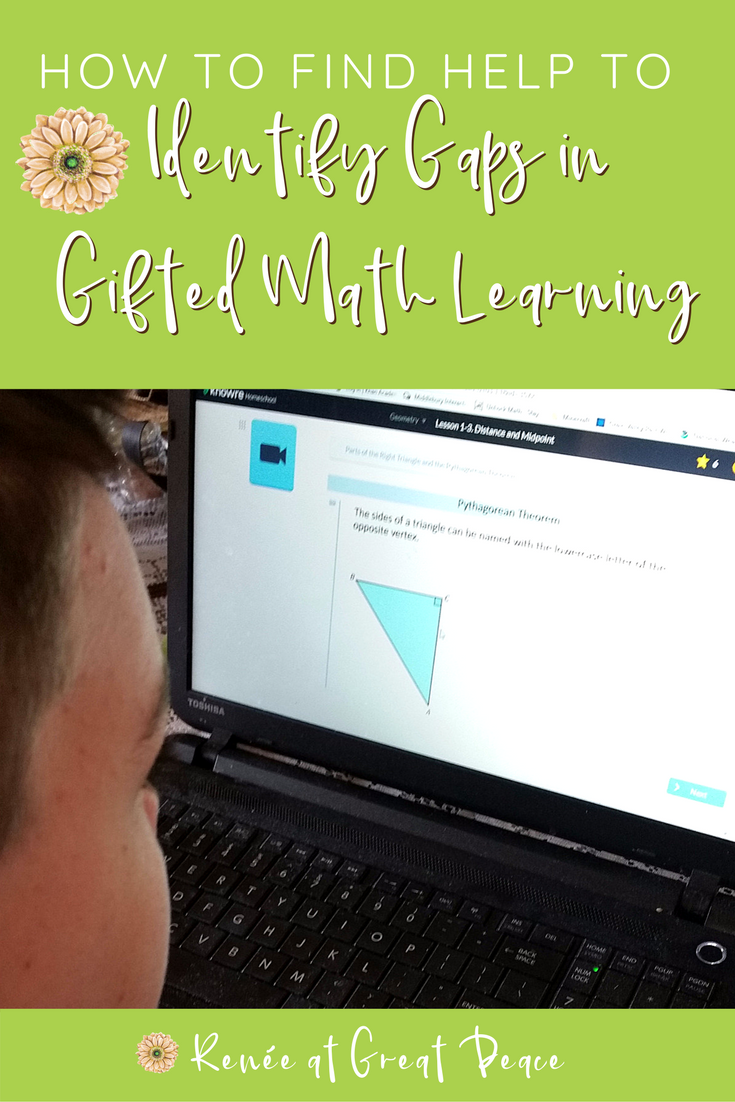 How to Find Help to Identify Gaps in Gifted Math Learning | Renée at Great Peace #math #gifted #ihsnet