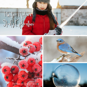 Don't Let the Cold Keep you from Winter a Nature Study Exploration | Renée at Great Peace #homeschool #science #naturestudy #ihsnet