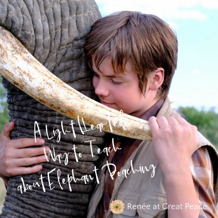 Elephant Poaching Crisis Educational Film | Renée at Great Peace