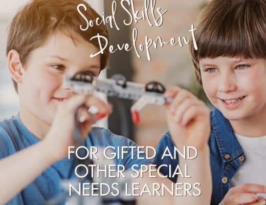 LEGO Therapy for the Development of Social Skills in Gifted Children | Renée at Great Peace #gifted #gtchat #homeschool #ihsnet