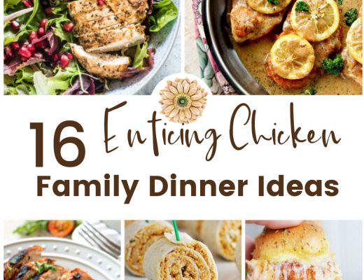 16 Enticing Chicken Family Dinner Ideas | Renée at Great Peace #mealplanning #familydinnerideas #chickenrecipes #ihsnet