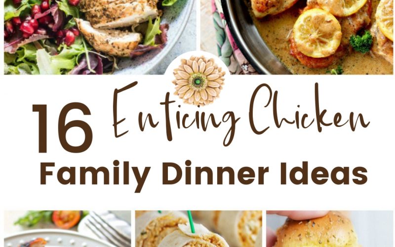 16 Enticing Chicken Family Dinner Ideas | Renée at Great Peace #mealplanning #familydinnerideas #chickenrecipes #ihsnet
