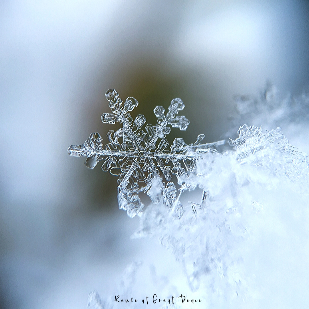 The Amazing Science of Snowflakes | Renee at Great Peace #science #snowflakes #snowscience #snow #homeschool #unitstudies #ihsnet