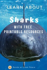 Printable Resources for Learning about Sharks | ReneeatGreatPeace.com #homeschooling #homeschool #education #sharks #printables #science #marinebiology