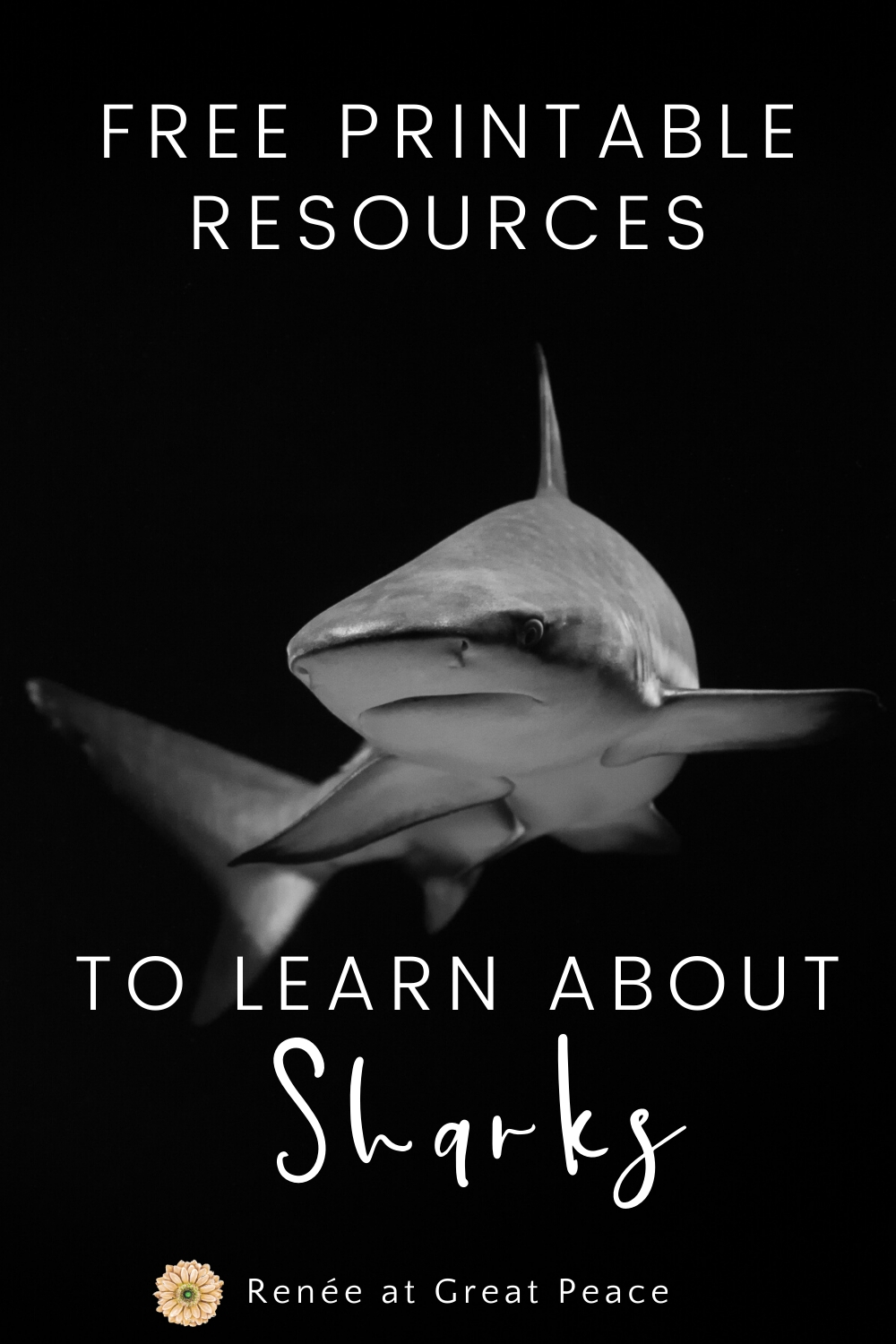 Discover FREE Printables to Learn about Sharks