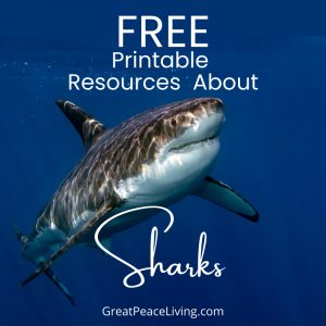 Free Printable Resources for Learning about Sharks | GreatPeaceLiving.com #educationresources #homeschool #unitstudies #homeschooling #homeschool #education #sharks #printables #science #marinebiology