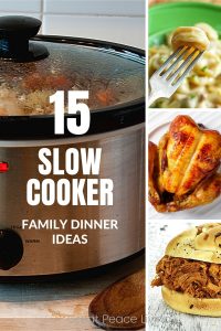 15 Slow Cooker Family Dinner Ideas