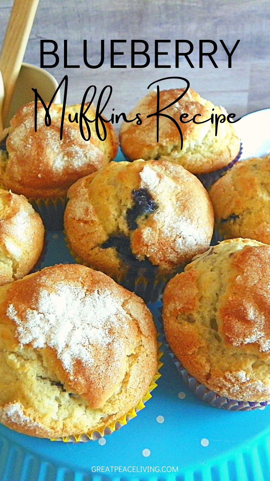 Breakfast Idea Blueberry Muffins