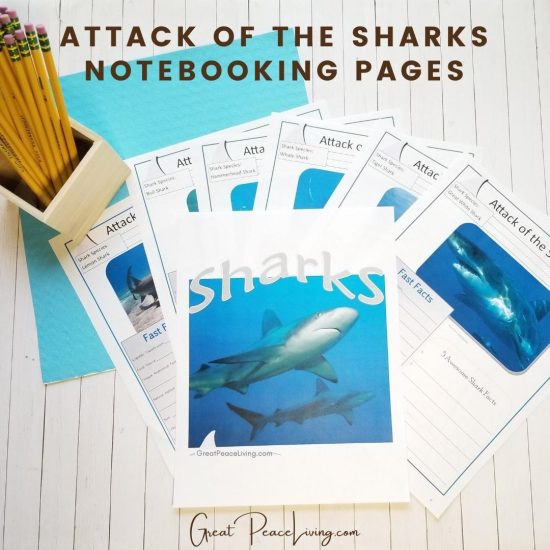 Sharks Unit Study for Homeschoolers | Renee at Great Peace