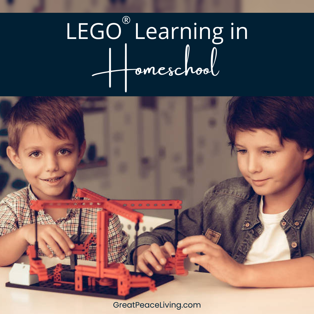LEGO Learning in Homeschool